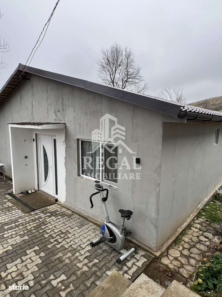 Două case individuale de vânzare în Teliuc –ideale pentru două familii-17