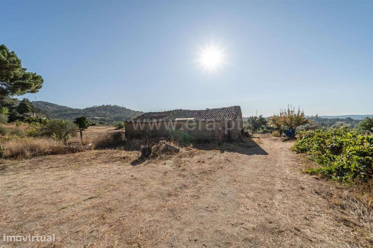 Terreno Rústico / Fundão, Pêro Viseu - Grande imagem: 2/19