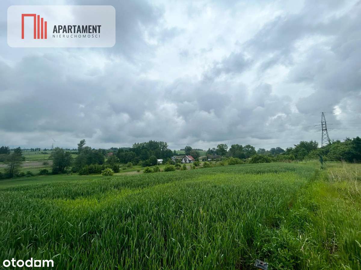 Działka z warunkami zabudowy Koniecwałd - Pełny obrazek: 5/11