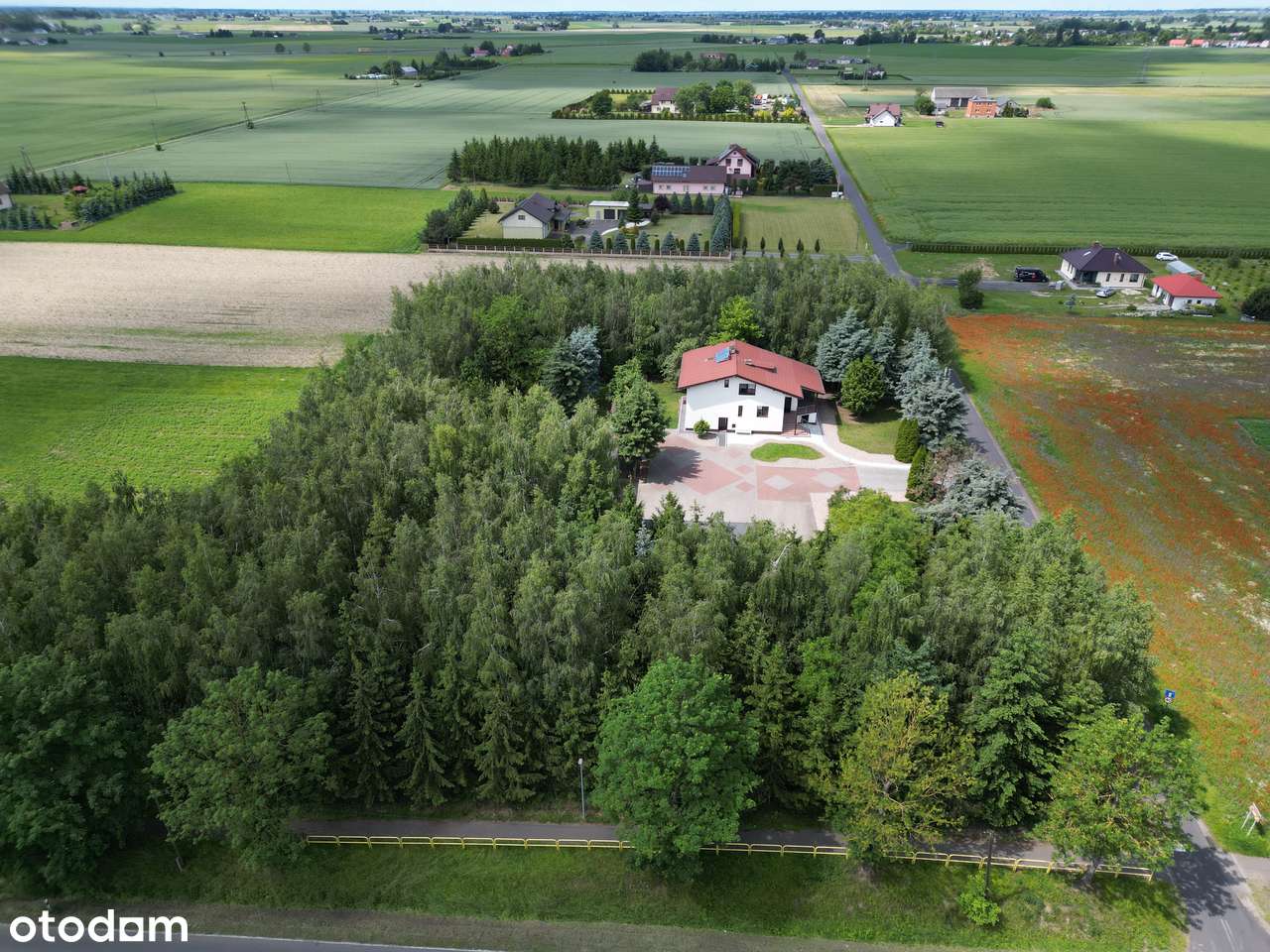 Dom z odświeżoną elewacją, sauną, duża działka, budynki użytkowe - Pełny obrazek: 4/15