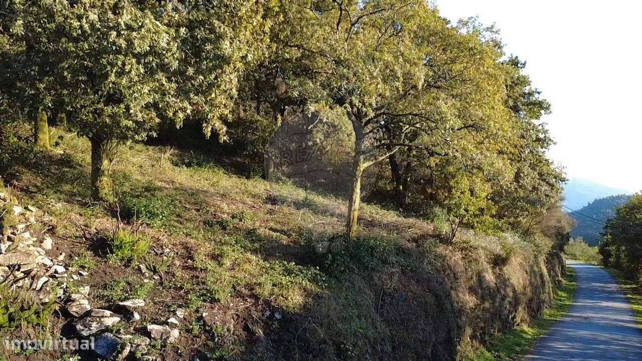 Terreno  para venda - Grande imagem: 4/12