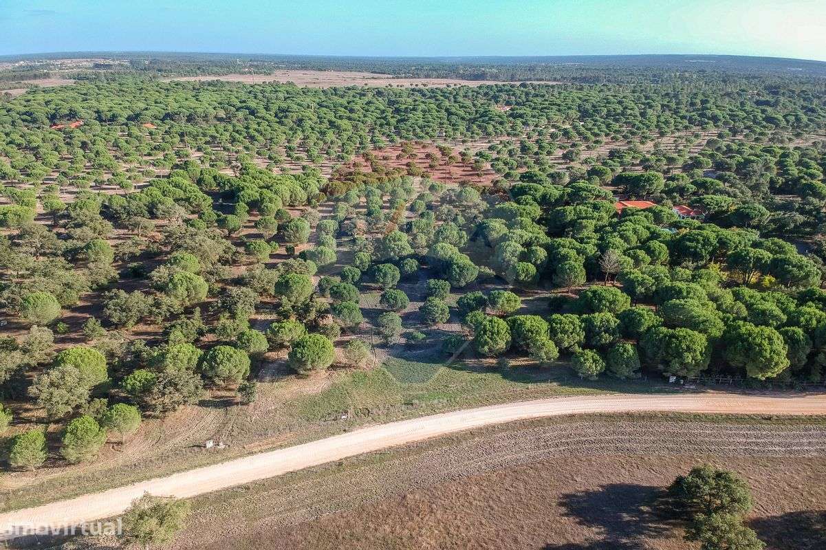 Terreno  para venda - Grande imagem: 5/7