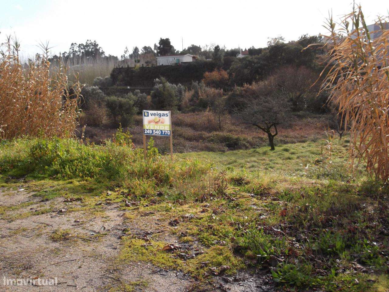 Terreno muito bem localizado - Ourém - Grande imagem: 4/8
