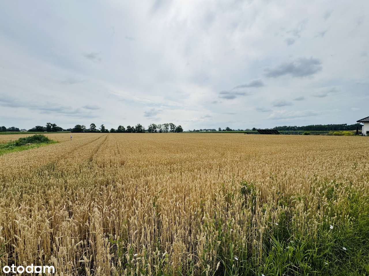 Wierzbice, działka budowlano-rolna o pow. 1,3 ha,-4