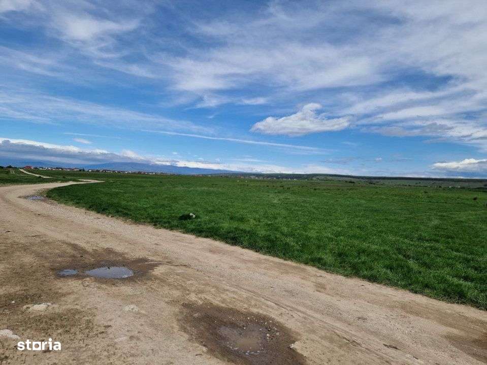 Vanzare teren extravilan 25.254 mp, situat in Preajba Mare - Imagine principală: 5/6