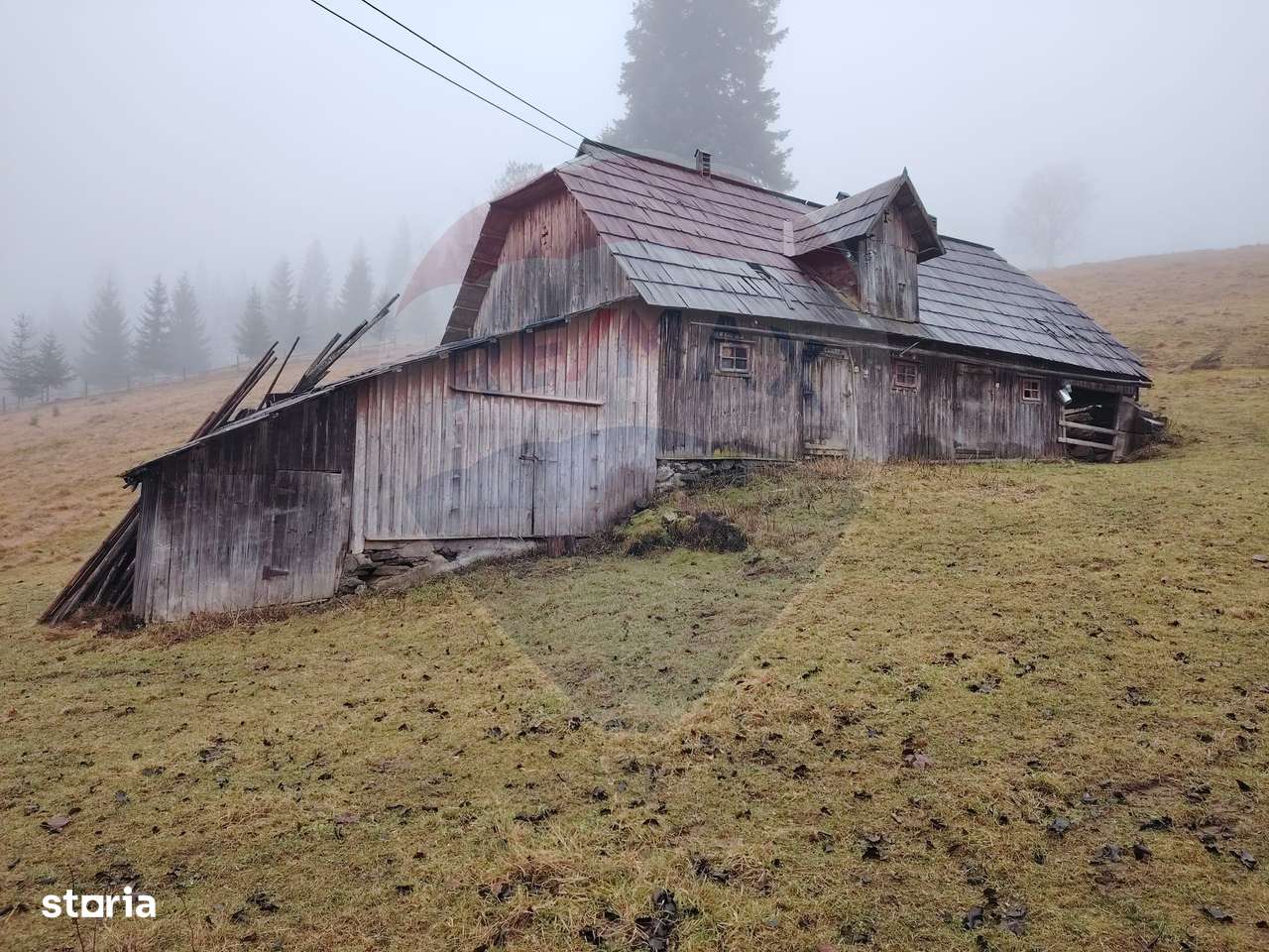Teren intravilan 26232m.p.  Dorna-Arini / Cozănești-5