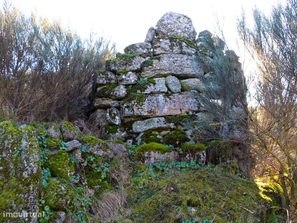 Terreno de 84 hectares-29