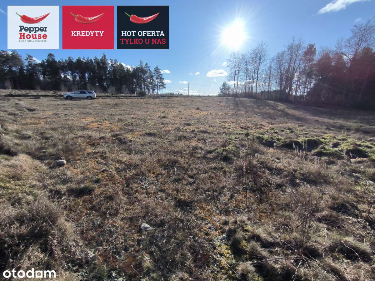 Strzebielino, Działka z pozwoleniem na Budowę - Pełny obrazek: 4/6