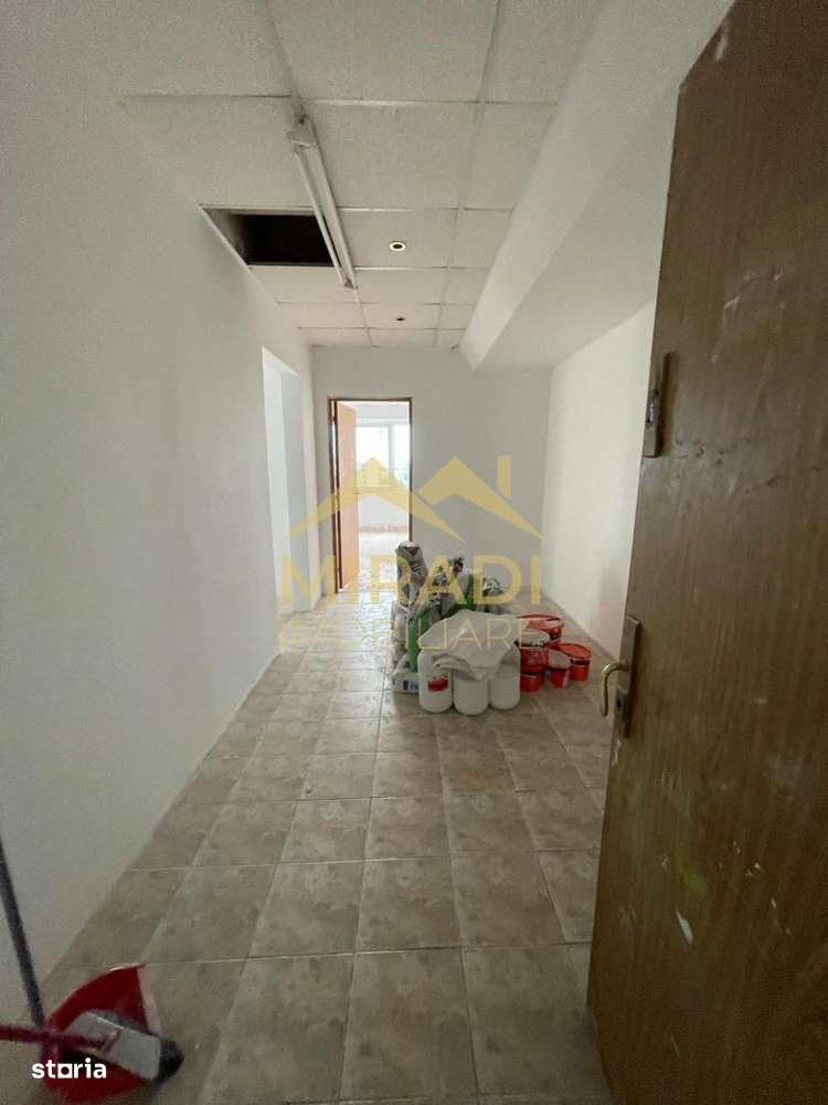 Vanzari Spatii Industriale Theodor Pallady - Imagine principală: 5/12