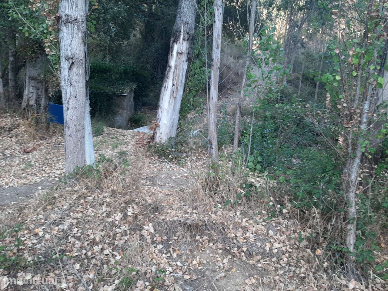 Terreno com Projeto Aprovado para Moradia em Besteiras – Águas Belas-33