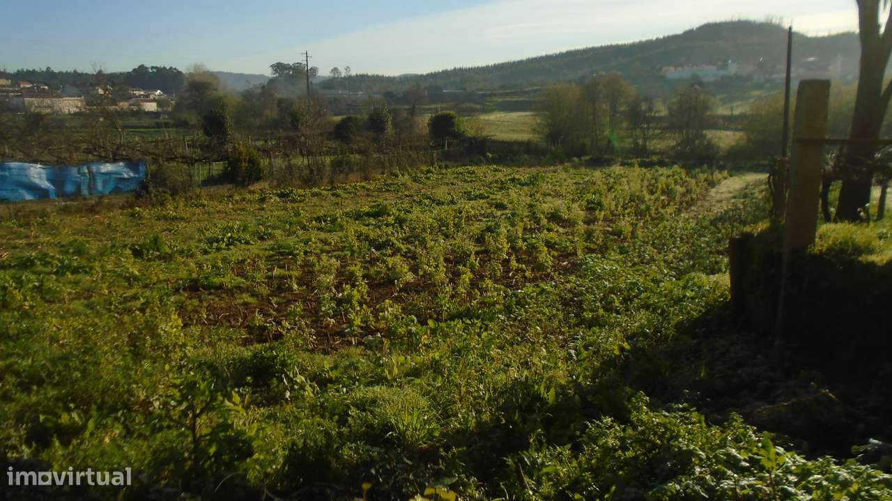 Terreno para Construção – 1 787,50 m² | Alfena, Valongo - Grande imagem: 5/10
