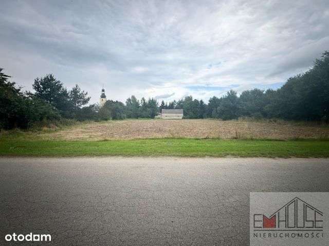 Kotowice-Działka-Las-blisko Wrocław/ Szewce-11