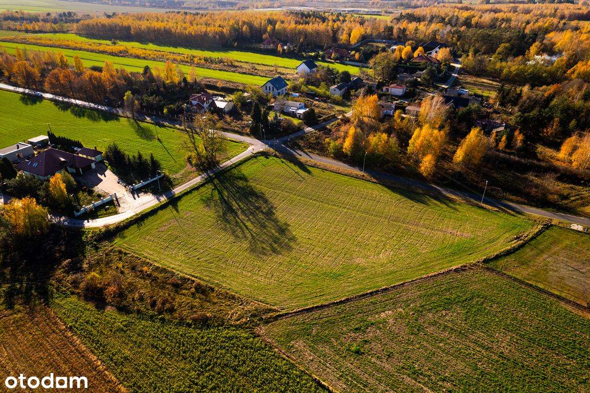 Działka 5 km od granic Łodzi w super cenie! - Pełny obrazek: 5/11