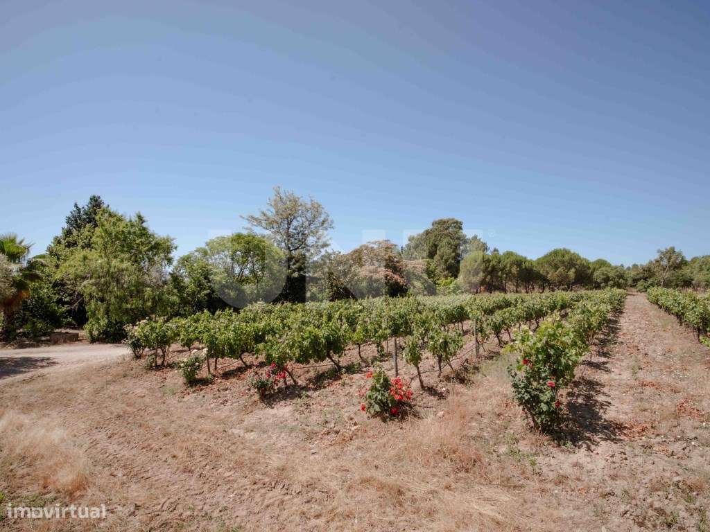 Herdade com 34 Hectares-28