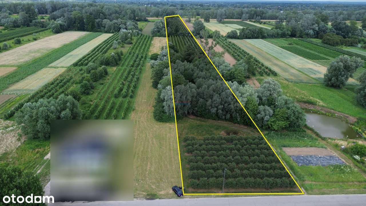 Działka, 29500.0 m², Dębówka - Pełny obrazek: 4/20