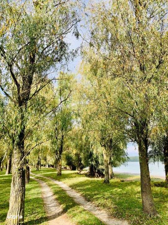 Mahmudia - teren intr o zona superba cu deschidere la apa-1