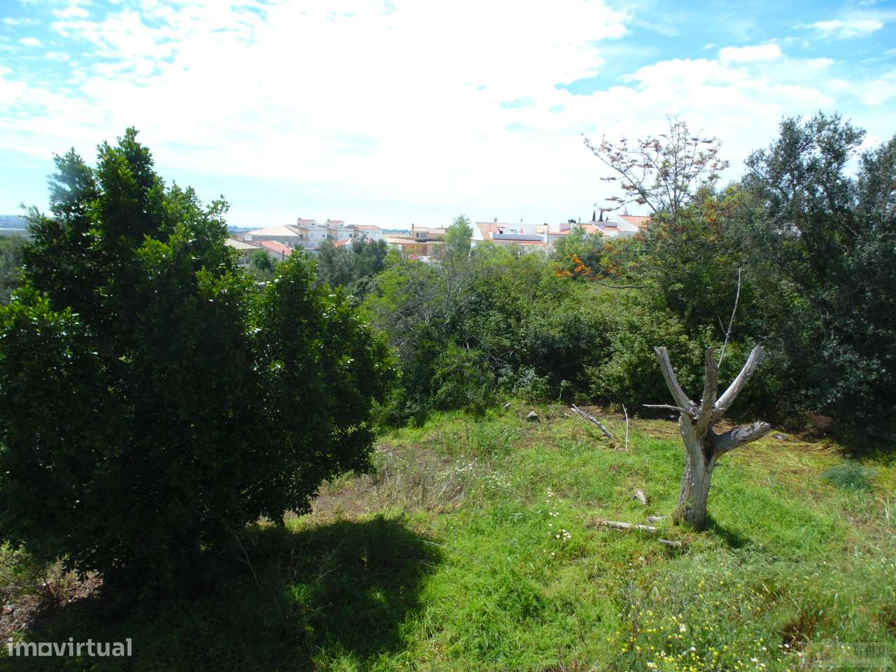 Lote de terreno para loteamento em Mexilhoeira grande. - Grande imagem: 2/18