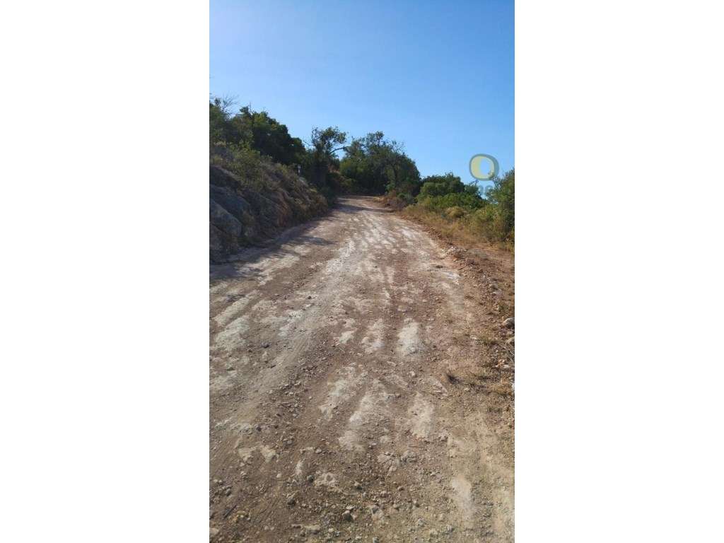 Terreno com 2400 m2 e vista mar - Grande imagem: 2/5