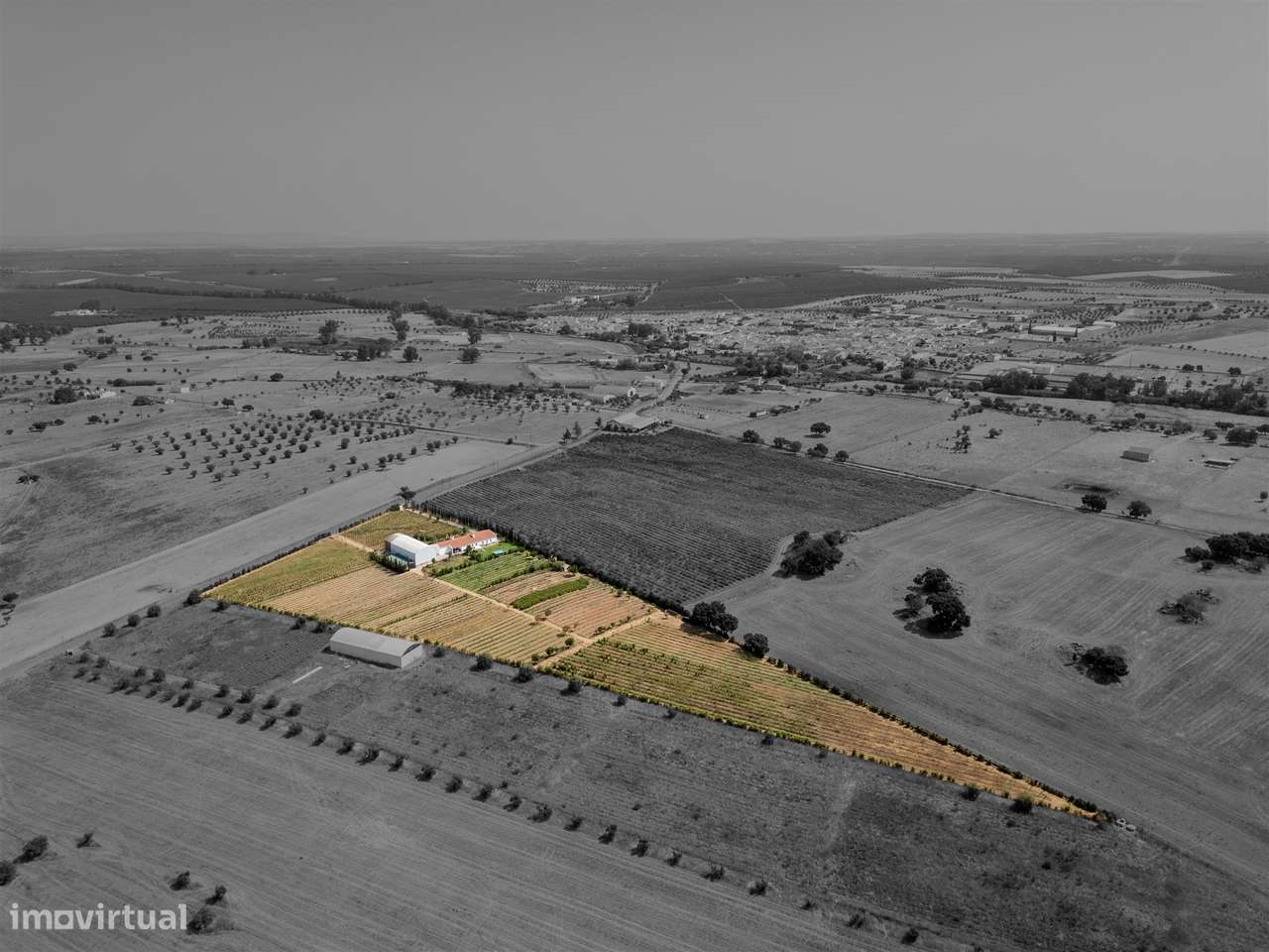 Quinta Biológica - Monte de Palma em Sao Manços com negócio.-5