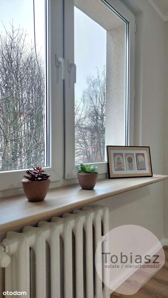 Wygodne, po remoncie, 2 pokoje+ jasna kuchnia-12