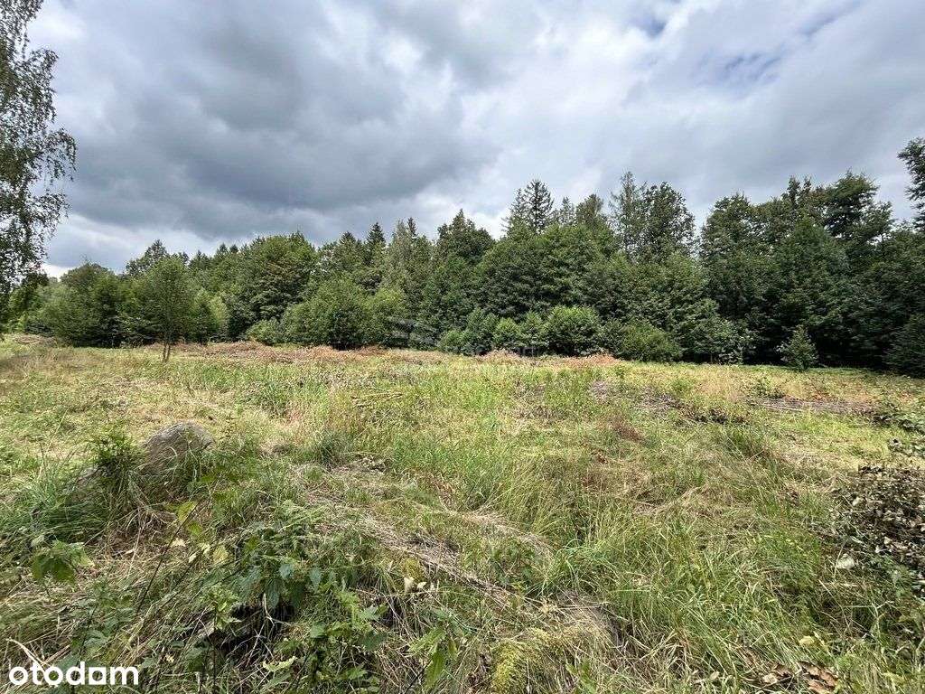 Działka w Górzyńcu w otoczeniu drzew z mediami. - Pełny obrazek: 5/7