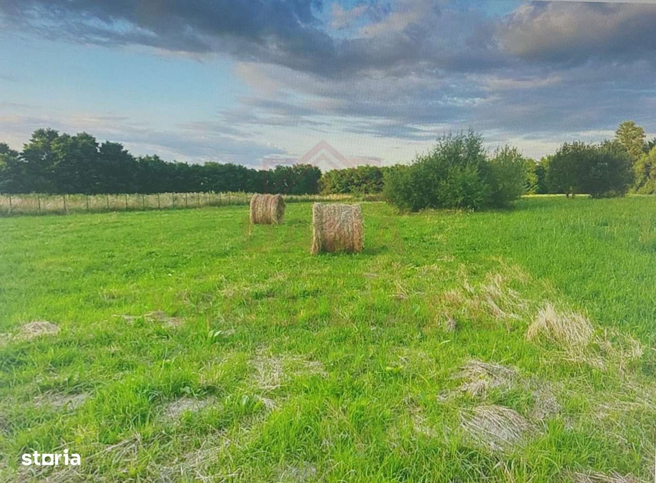 TEREN INTRAVILAN CU PUZ\ 704 MP\CARANSEBEȘ\ ZONA TEIUȘ - Imagine principală: 4/6