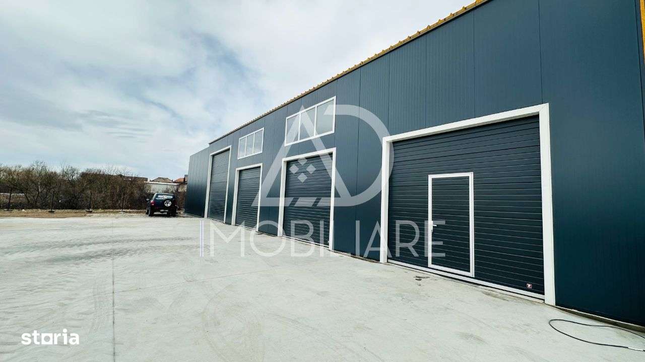 Hală nouă de închiriat / Calea București - Imagine principală: 2/9