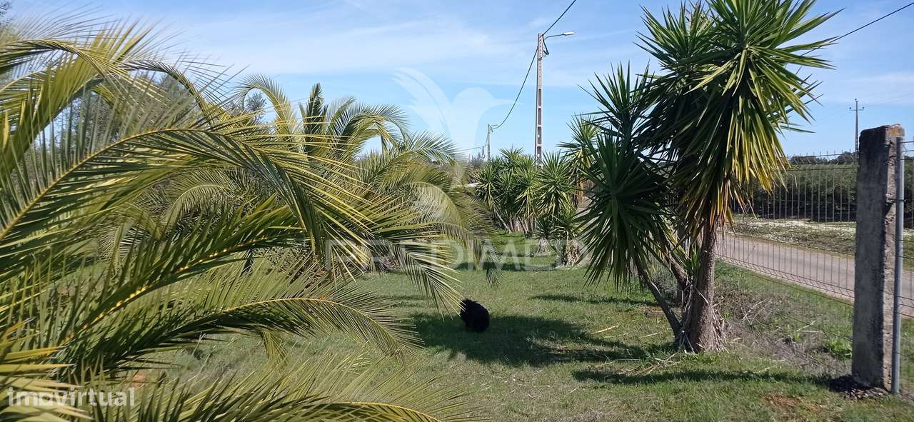 Monte Alentejano com 13.250 m2, Casa Branca, Sousel - Grande imagem: 4/22