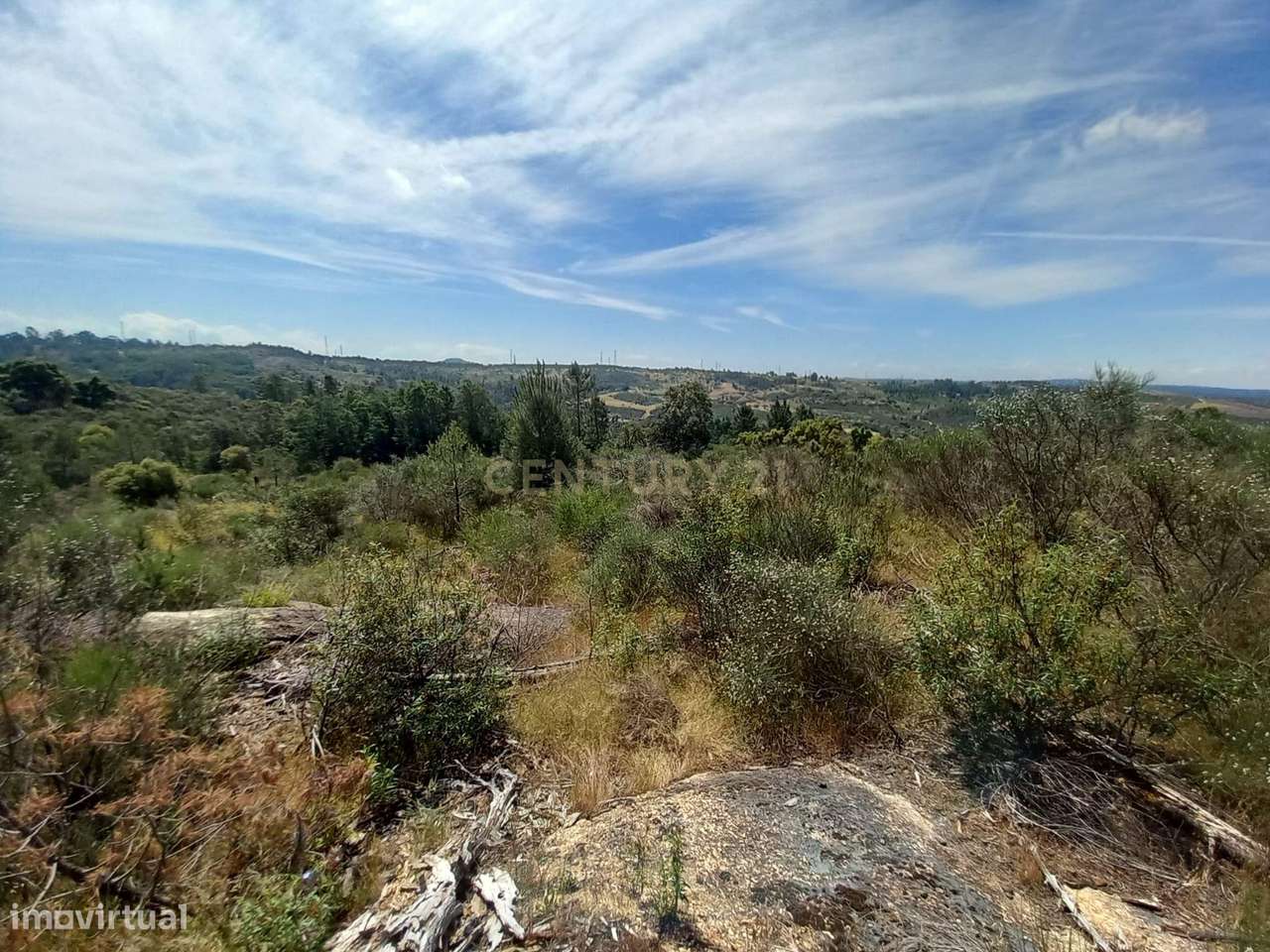 Terreno Rustico com 13300m2 Palvarinho-Salgueiro do Campo - Grande imagem: 5/10