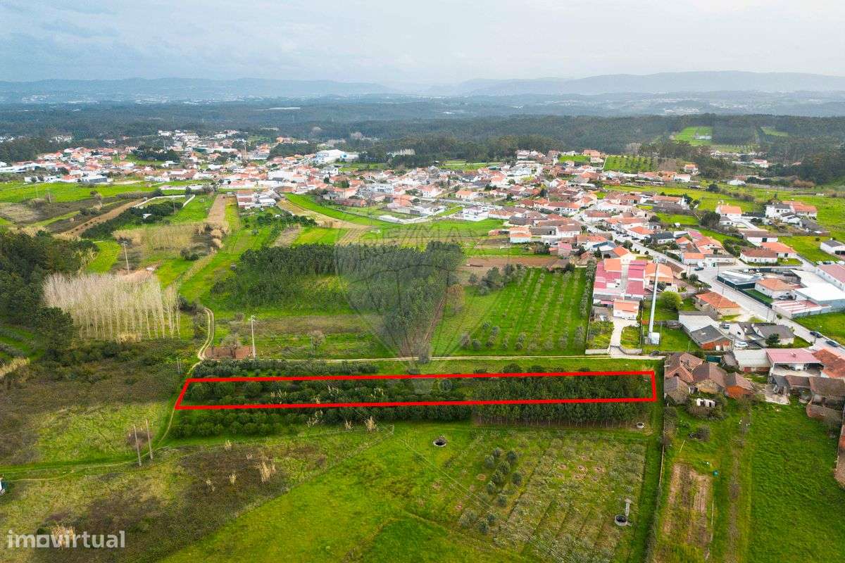 Terreno  para venda - Grande imagem: 4/9