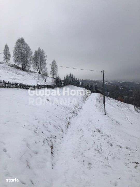 Teren 725 MP | Moieciu de Jos | Piatra Craiului | Oportunitate de inve - Imagine principală: 5/8