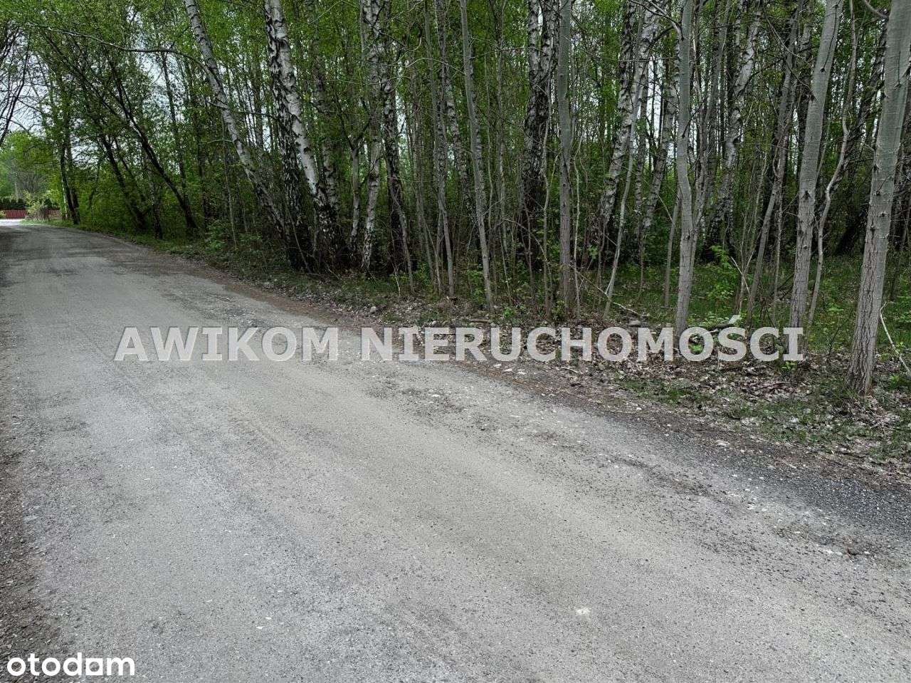 Działka, 10 200 m², Grodzisk Mazowiecki - Pełny obrazek: 5/7