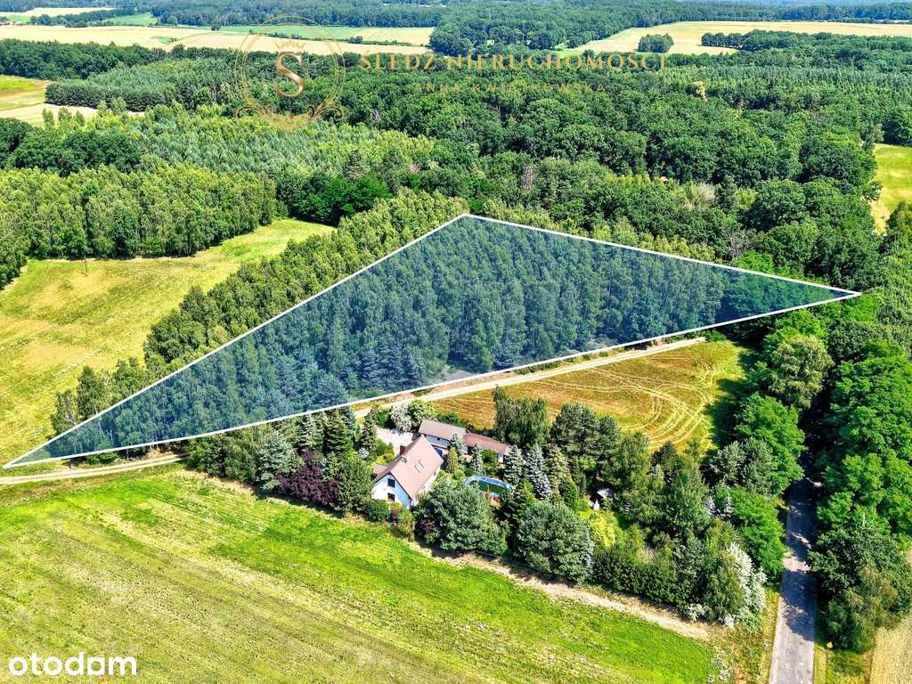 1,2 ha Działka Budowlana 45 min od Wrocławia + Las-3