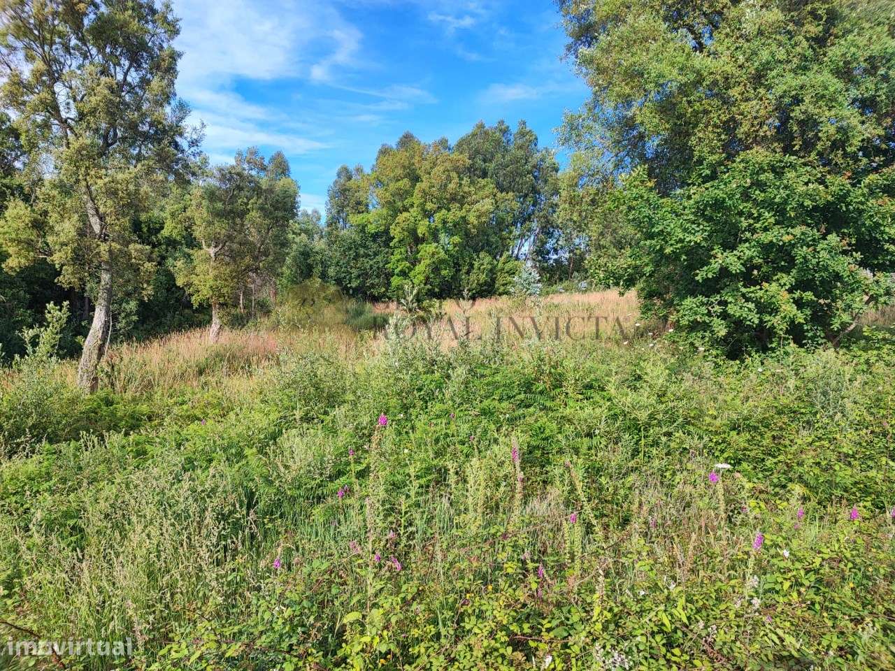 Terreno para construção de moradia em Serzedo - Perosinho - Grande imagem: 3/5