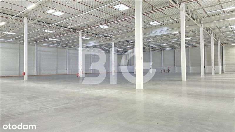 Magazyn z dobrym dojazdem do obwodnicy Trójmiasta - Pełny obrazek: 4/6