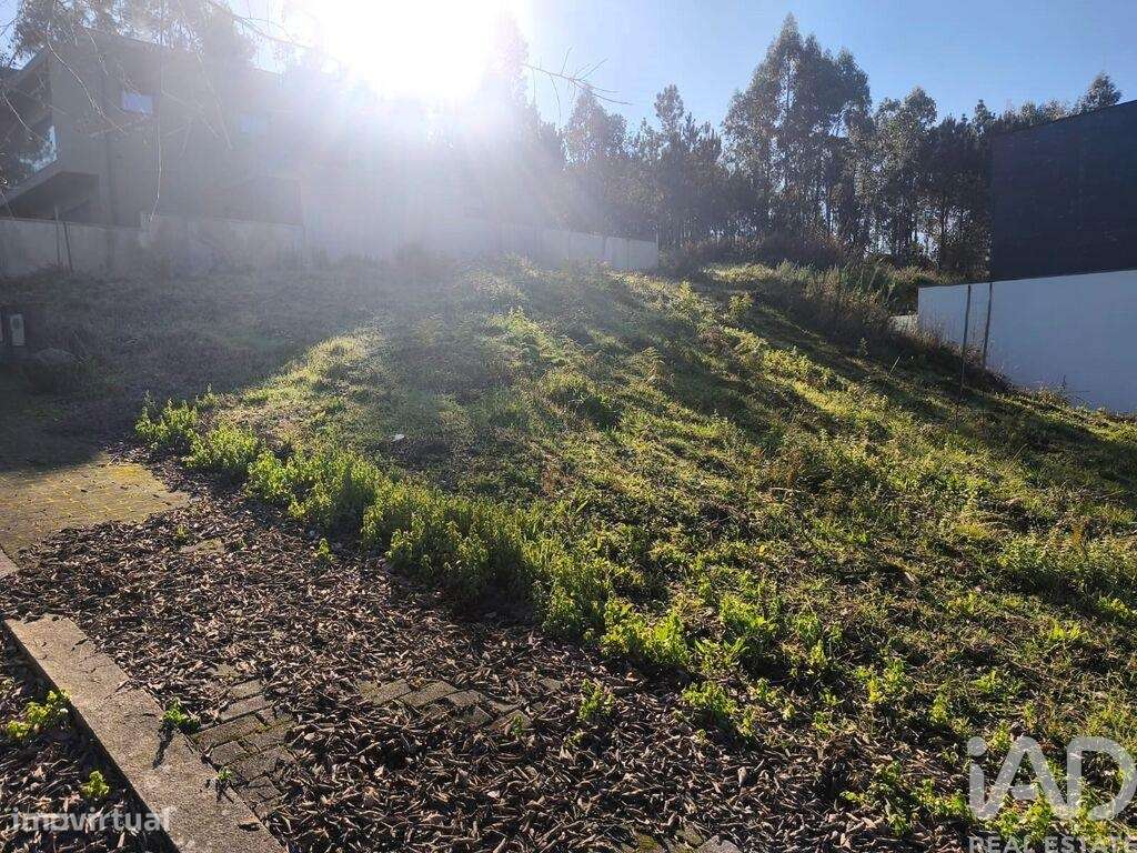 Terreno para construção em Forjães - Grande imagem: 2/9