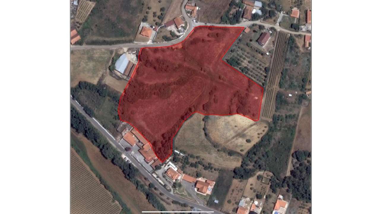 Quinta em Alenquer - Grande imagem: 4/22