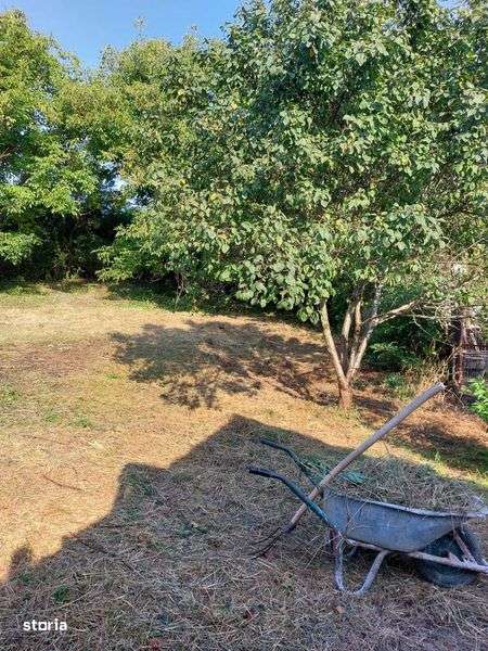 Casa de vanzare localitatea Jucu Herghelie - Imagine principală: 4/8