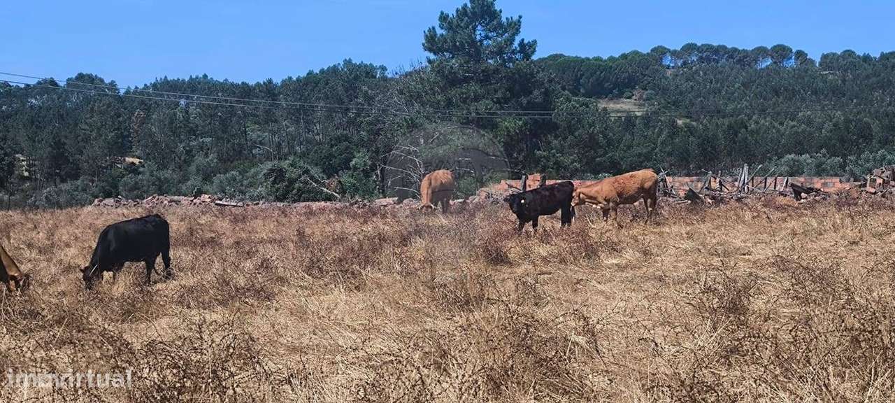 Moradia T2 para venda - Grande imagem: 4/45