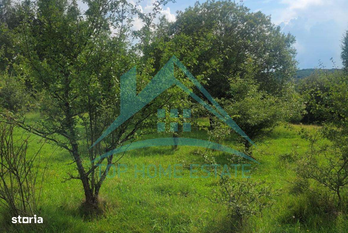 Teren pentru cabana/pensiune zona Lac Micesti!-5