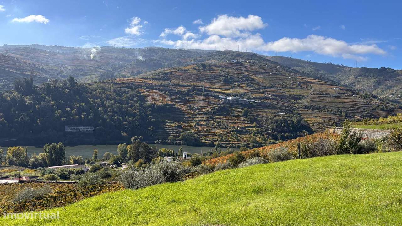 Terreno no Douro/Regua com Projecto aprovado para Moradia-10