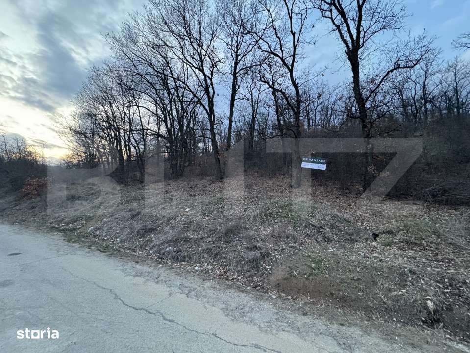 Oportunitate! 5 hectare Padure, Satul de Vacanta, parcelabil, Podari - Imagine principală: 4/5