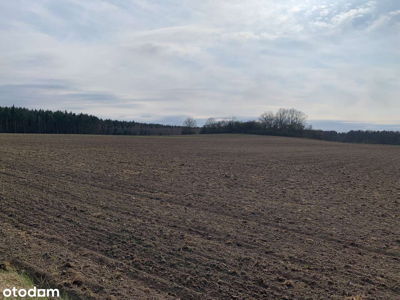 Działki rolne w Pątnowie Legnickim-0