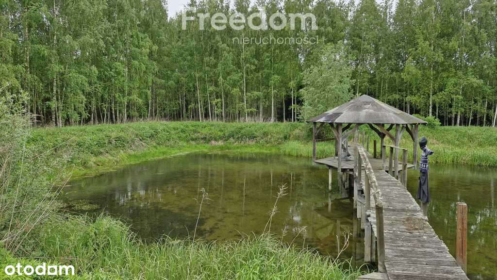 Malownicze działki 8324m² ze stawem otoczona lasem - Pełny obrazek: 4/16
