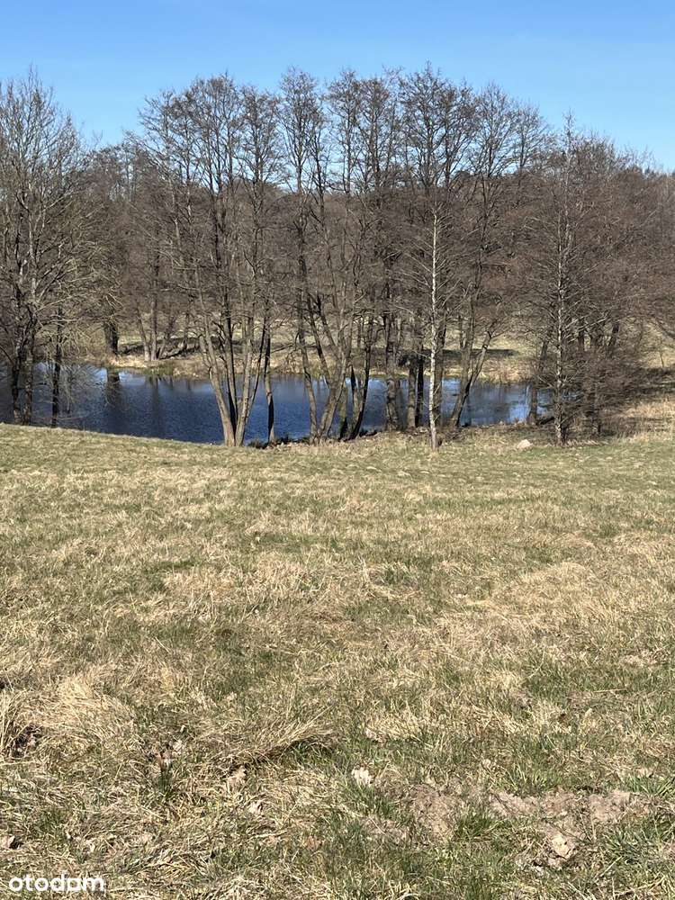 Sprzedam działki rolne