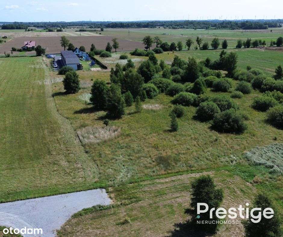 Jezierzany – działka z opcją podziału. Kup całość lub 1/3! - Pełny obrazek: 5/6