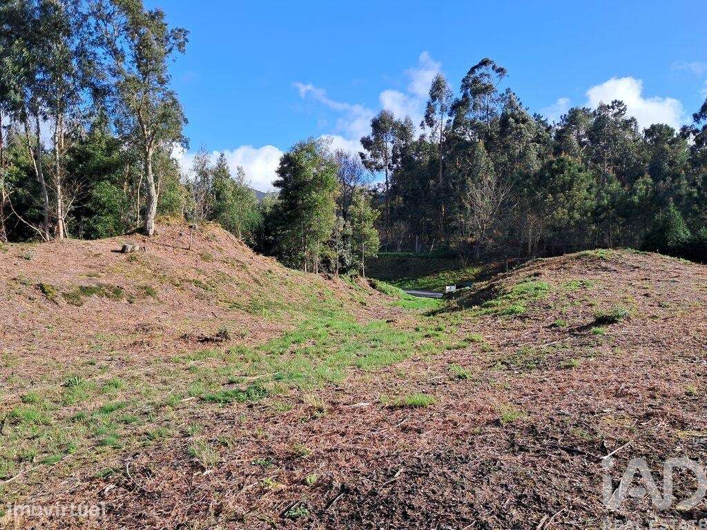 Terreno em Reboreda e Nogueira de 4514,00 m2 - Grande imagem: 4/7