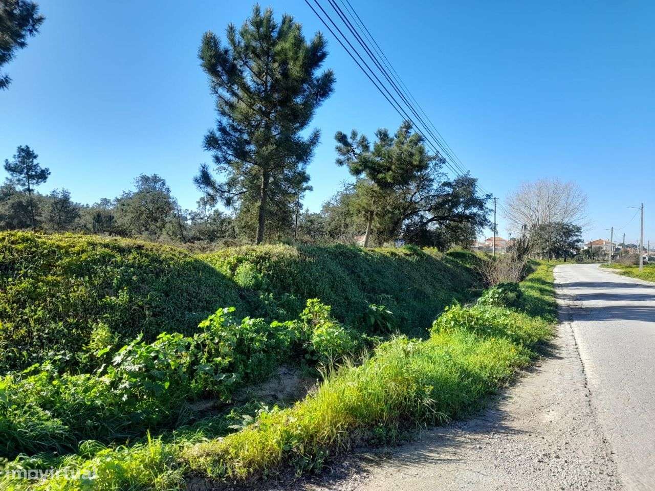 Azeitão Terreno com 10500 M2 de gaveto.-6