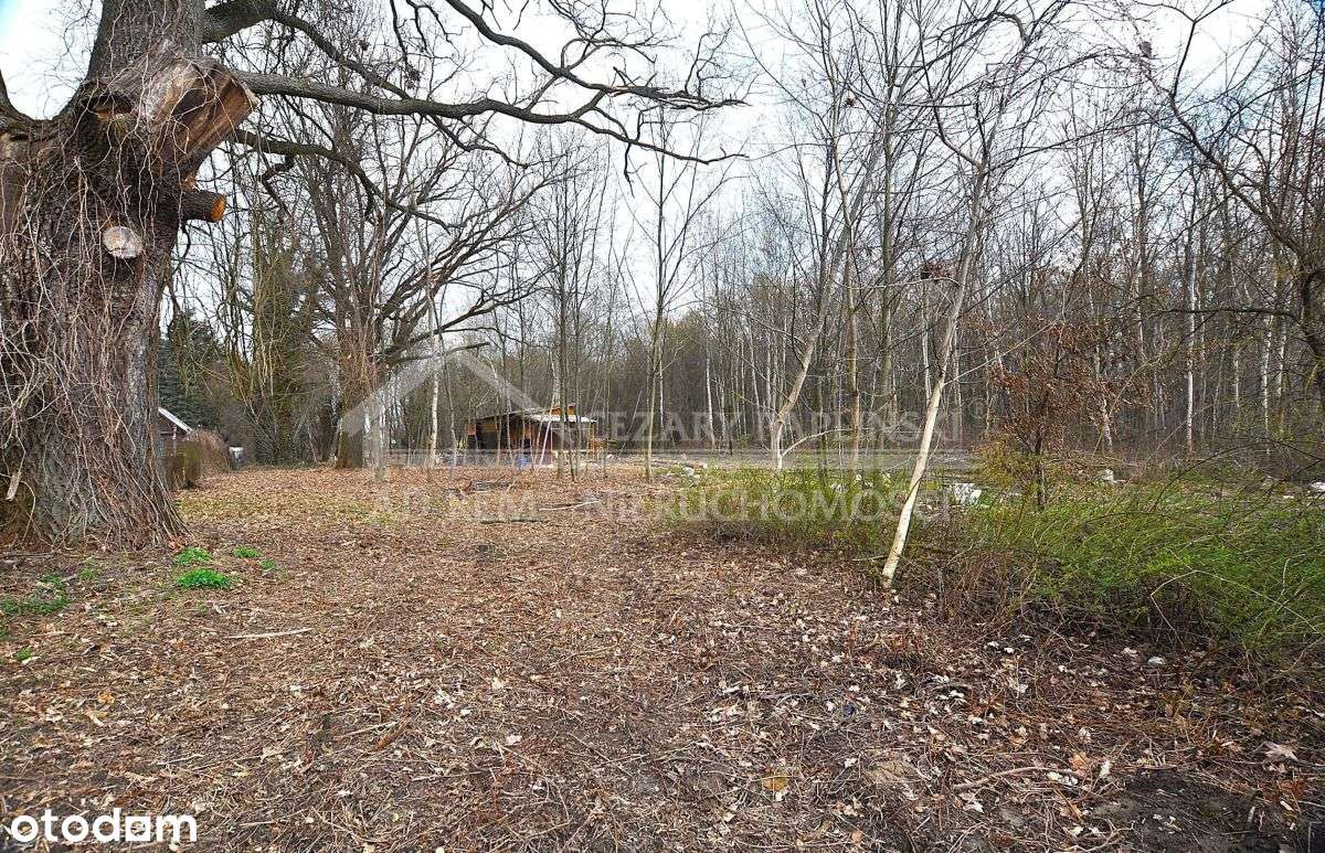 Trojaczkowice Duże, budowlana, 1038 mkw-3