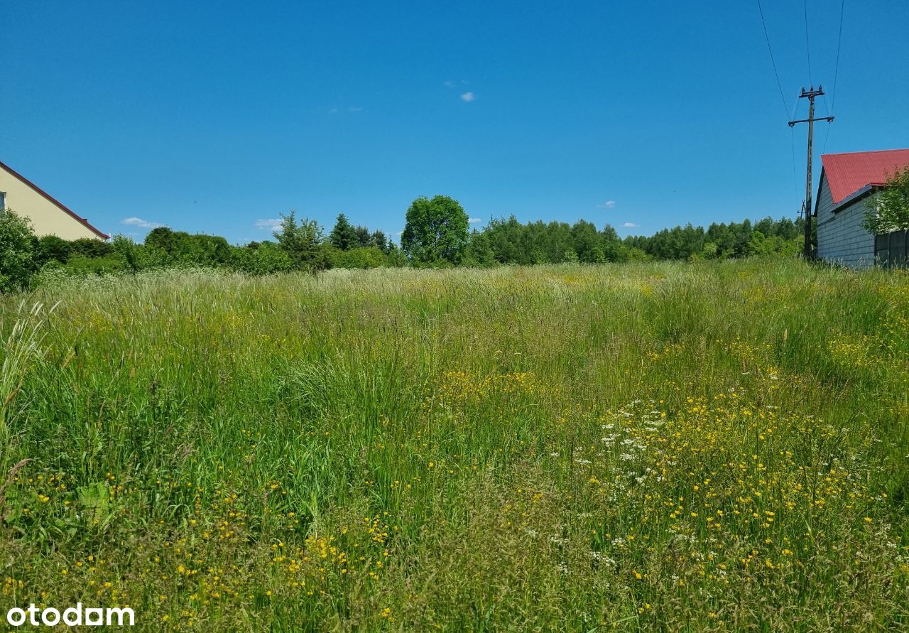 Do sprzedania działka uzbrojona 4600m2 w Bębnowie